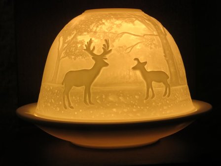 Herten in het bos Dome licht