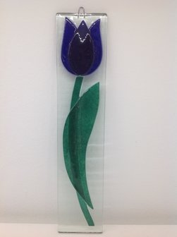 Blauwe hang tulp